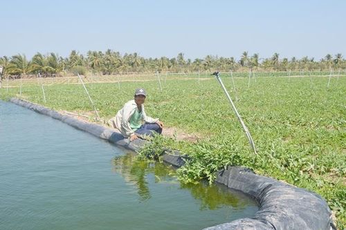Nhiều mô hình 'sống khỏe' giữa hạn, mặn