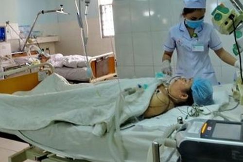 Mẹ tử vong, hai người con thoát chết trong vụ ngộ độc ốc bùn biển
