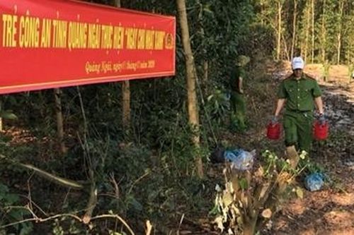 1.800 cây xanh cho 'Ngày chủ nhật xanh'