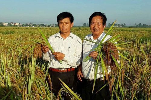 Nhà khoa học của nông dân