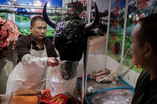 Bất chấp Covid-19, TQ khó dẹp thị trường động vật hoang dã 74 tỷ USD