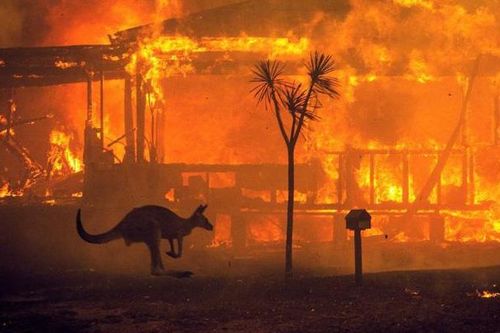 Chính sách kích cầu du lịch tại Australia sau thảm họa cháy rừng