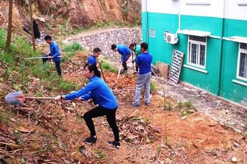Đoàn viên Cao Bằng trồng mới 3.900 cây trong ngày Chủ Nhật xanh