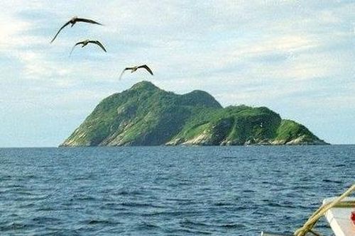 Đảo Rắn: Nơi loài rắn độc nguy hiểm nhất thế giới thống trị
