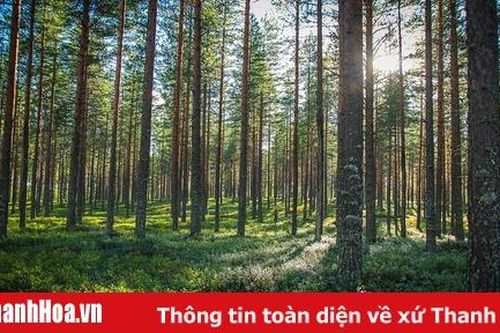 Công bố hiện trạng rừng tỉnh Thanh Hóa năm 2019