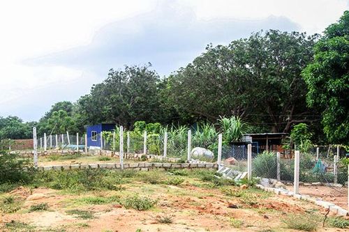 Cam Ranh: Tích cực khắc phục tình trạng phá núi Hòn Rồng