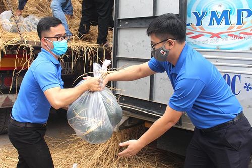 Tiêu thụ 30 tấn dưa hấu giúp nông dân Tây Nguyên