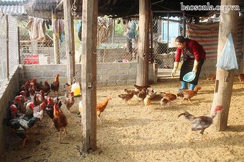 Cán bộ Hội 'Giỏi việc nước, đảm việc nhà'
