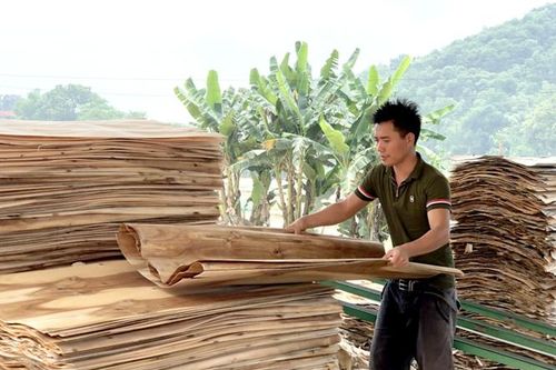 Thanh niên xã Hùng Đức xung kích phát triển kinh tế