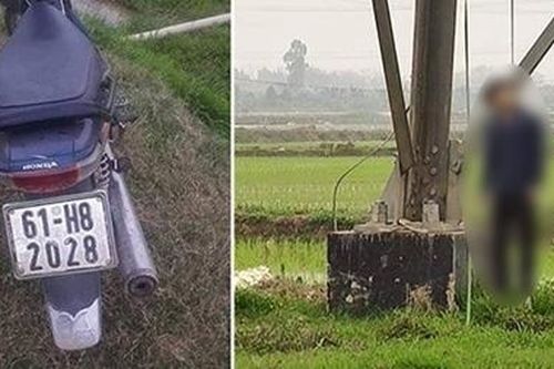 Nam thanh niên treo cổ trên cột điện đường dây 500kV