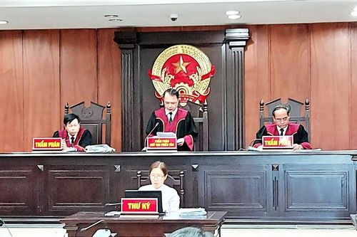 Tòa phúc thẩm bác kháng cáo, chính quyền Đà Nẵng lại thua kiện doanh nghiệp