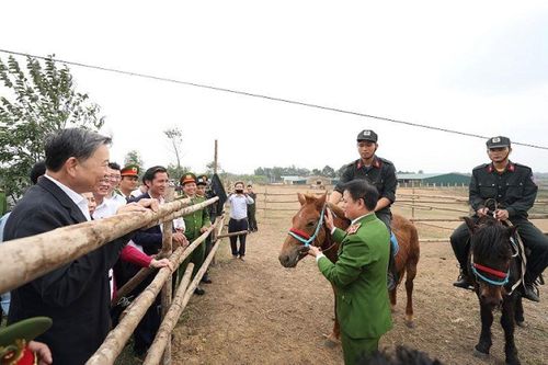 Bộ trưởng Tô Lâm thăm chuyên gia huấn luyện kỵ binh