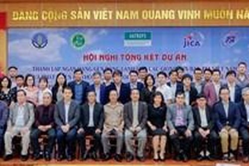 Việt Nam-Nhật Bản chung tay bảo tồn và sử dụng nguồn tài nguyên lợn bản địa của Việt Nam