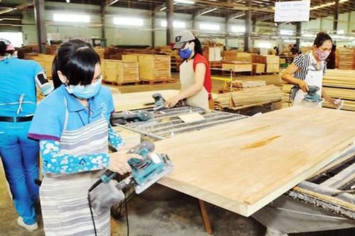 Gỗ dán bị kiện, gấp rút tìm giải pháp tháo gỡ