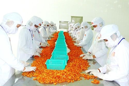 Xuất khẩu tôm vừa mừng vừa lo
