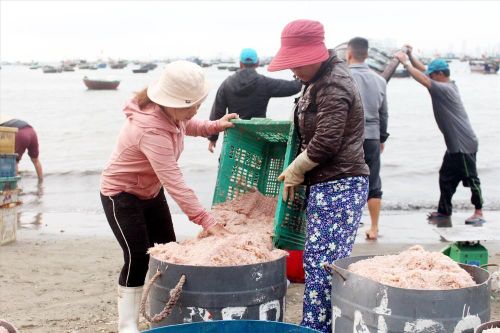 Nhộn nhịp chợ 'lộc biển'
