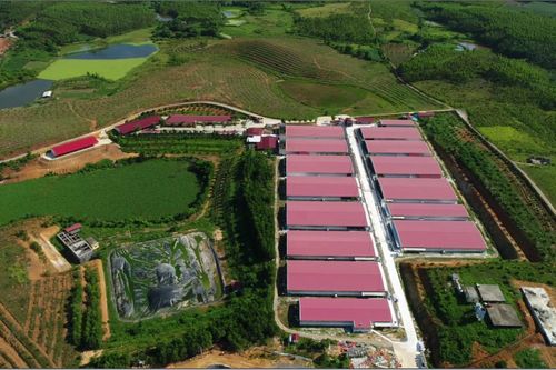 Vi phạm quy định về bảo vệ môi trường, Công ty CP Tập đoàn Dabaco bị phạt 300 triệu đồng