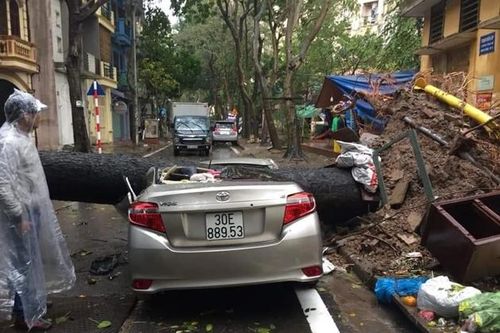 Hà Nội cây đổ đè bẹp xe ô tô, nhiều tuyến bị ngập nước