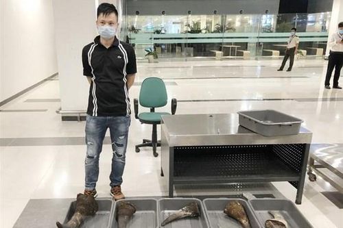 Bắt gần 30kg nghi sừng tê giác trên chuyến bay chuyển hướng vì dịch