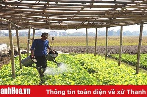 Nâng cao hiệu quả hoạt động của các HTX nông nghiệp
