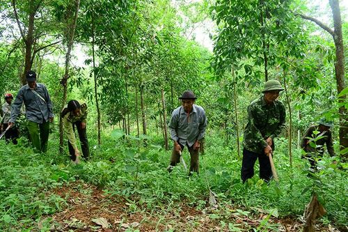 Xuất hiện 2.153 điểm có nguy cơ cháy rừng