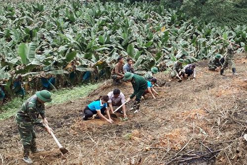 Bộ đội Biên phòng Lào Cai: Hướng mạnh về cơ sở
