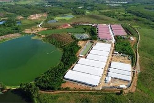 Công ty Dabaco bị xử phạt 300 triệu đồng