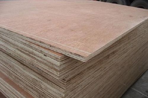Gỗ dán cứng xuất khẩu của Việt Nam bị yêu cầu điều tra