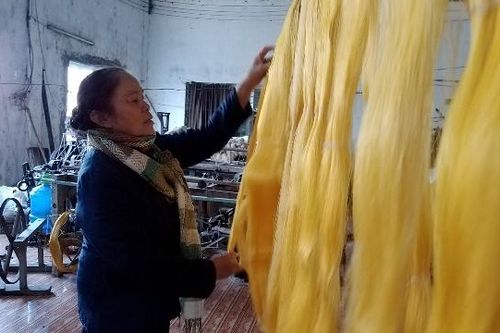 Tháo gỡ khó khăn cho sản xuất tơ tằm