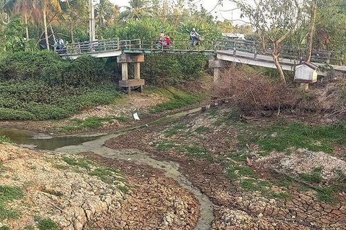 Cà Mau công bố tình huống khẩn cấp về hạn hán