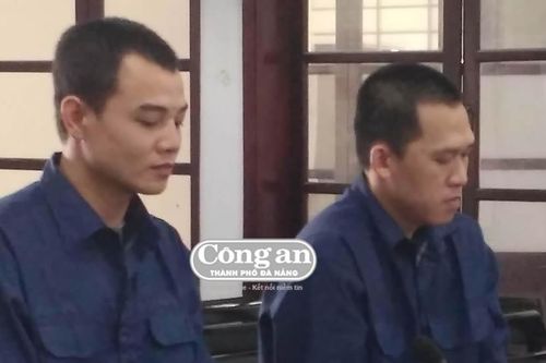 Cặp 'đạo chích' lãnh án