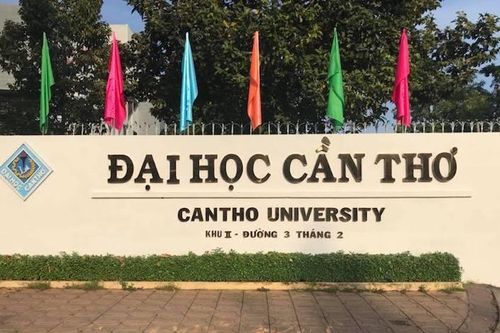 Bốn cơ sở giáo dục đại học Việt Nam vào top xếp hạng QS về các lĩnh vực khoa học