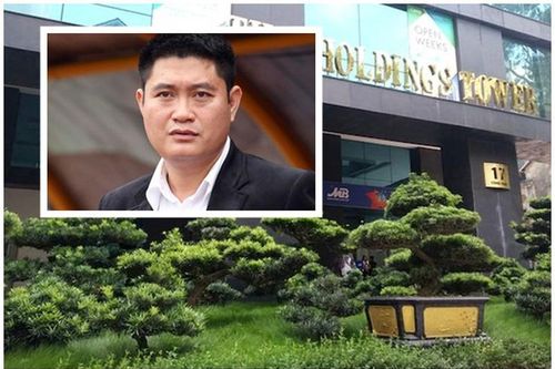 Thaiholdings phát triển ra sao dưới thời bầu Thụy?