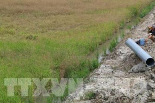 EU hỗ trợ người dân bị ảnh hưởng hạn hán và xâm nhập mặn tại Việt Nam