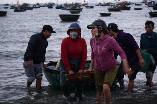 Mùa ruốc biển, ngư dân Đà Nẵng kiếm tiền triệu mỗi ngày