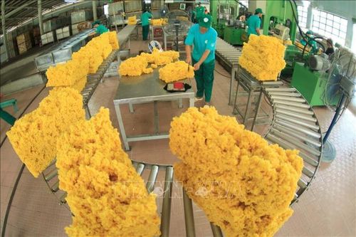 Gỡ khó cho doanh nghiệp trước ảnh hưởng dịch COVID-19