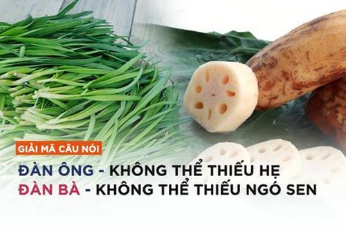 Tại sao từ xưa đã có câu: 'Đàn ông không thể thiếu hẹ, đàn bà không thể thiếu ngó sen'?