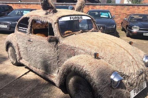 'Con bọ' Volkswagen Beetle bất ngờ mọc lông như thú cưng