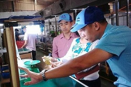 Vinastar: Hiệu quả từ cải tiến năng suất tổng thể