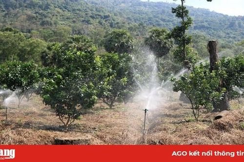 Sử dụng nước tưới trong mùa khô
