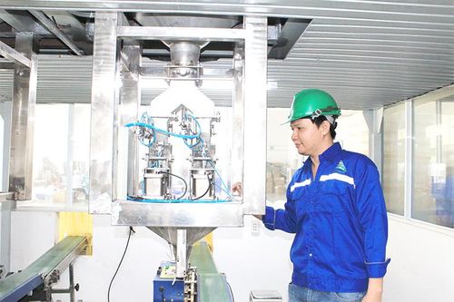 Góp sức trẻ phát triển doanh nghiệp
