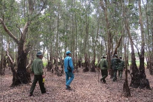 Triển khai công tác phòng cháy, chữa cháy rừng năm 2020