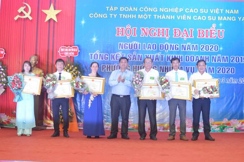 Cao su Mang Yang phấn đấu tổng doanh thu đạt hơn 168 tỷ đồng