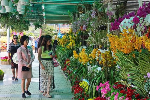 Khách du lịch đến Đà Lạt giảm mạnh