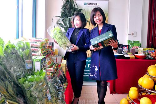 Hợp tác xã nông nghiệp công nghệ cao: Cần tăng nhanh cả chất và lượng
