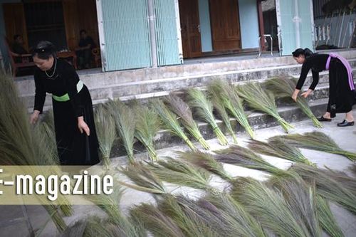 Mùa chít rừngTuyên Quang, mảnh đất đa bản sắc văn hóa dân tộcXuân về rẻo caoBánh chưng - dẻo thơm vị TếtĐường về nhà chồng của cô dâu người DaoThổi hồn vào trang phục vải lanh bằng sáp ongMột năm khởi sắc xây dựng nông thôn mới