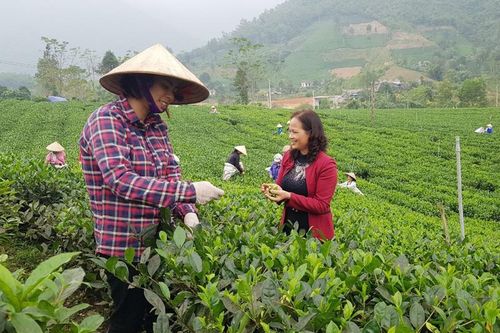 Tạo điều kiện đầu tư phát triển nông nghiệp bền vững
