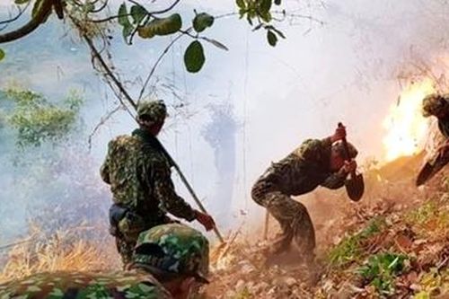 Cháy 6ha rừng khu vực Núi Cấm