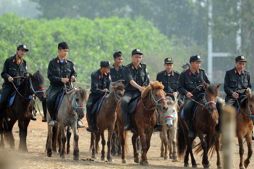 CSCĐ Kỵ binh thuần dưỡng ngựa nơi thao trường