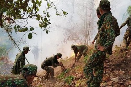 Hơn 600 người chữa cháy rừng ở khu vực thuộc núi Cấm